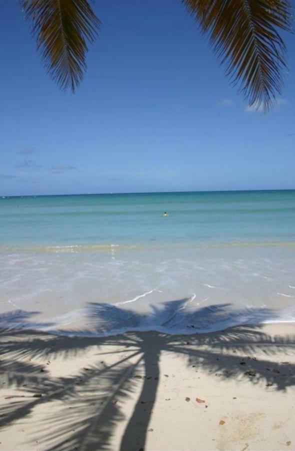 L'Hibiscus Piscine Et Plage Sainte-Luce Eksteriør bilde